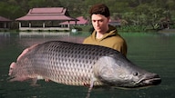 Fishing Sim World: Pro Tour - Giant Carp Pack (PC) - Steam Gift - GLOBAL
