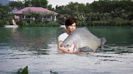 Fishing Sim World: Pro Tour - Giant Carp Pack (PC) - Steam Gift - GLOBAL