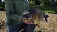 Fishing Sim World: Pro Tour - Giant Carp Pack (PC) - Steam Gift - GLOBAL
