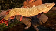 Fishing Sim World: Pro Tour - Jezioro Bestii (PC) - Steam Key - GLOBAL
