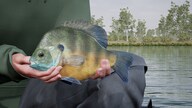 Fishing Sim World: Pro Tour - Quad Lake Pass (PC) - Steam Key - GLOBAL