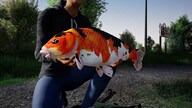 Fishing Sim World: Pro Tour - Talon Fishery (PC) - Steam Key - GLOBAL