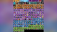 Fortnite Random 60-70 Skins (Xbox, Nintendo Switch, PC & Mobile) - Fortnite Account - GLOBAL
