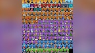 Fortnite Random 60-70 Skins (Xbox, Nintendo Switch, PC & Mobile) - Fortnite Account - GLOBAL
