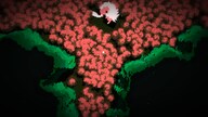 Future Unfolding (PC) - Steam Key - GLOBAL