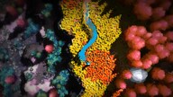 Future Unfolding (PC) - Steam Key - GLOBAL