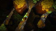 Future Unfolding (PC) - Steam Key - GLOBAL