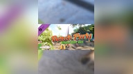 Green Army Men Steam Key GLOBAL