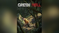 Green Hell (PC) - Steam Key - GLOBAL
