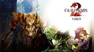 Guild Wars 2 Gold 300G - GLOBAL