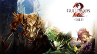 Guild Wars 2 Gold 800G - GLOBAL