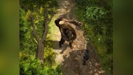 Hard to Be a God Steam Key GLOBAL