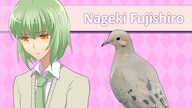 Hatoful Boyfriend Steam Key GLOBAL