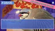 Hatoful Boyfriend Steam Key GLOBAL