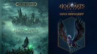 Hogwarts Legacy | Deluxe Edition + Preorder Bonus (PC) - Steam Key - GLOBAL