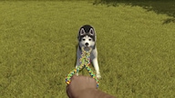 House Flipper - Pets DLC (PC) - Steam Key - GLOBAL