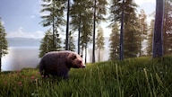 Hunting Simulator 2 Bear Hunter Pack (PC) - Steam Gift - GLOBAL
