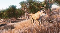 Hunting Simulator (PC) - Steam Account - GLOBAL