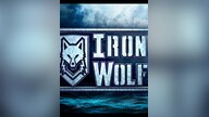 IronWolf VR Steam Key GLOBAL