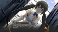Is It Wrong to Try to Pick Up Girls in a Dungeon? Infinite Combate (PC) - Steam Key - GLOBAL