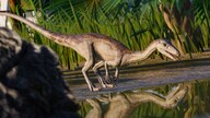 Jurassic World Evolution 2: Park Managers' Collection Pack (PC) - Steam Gift - EUROPE
