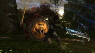 Kingdoms of Amalur: Re-Reckoning (Nintendo Switch) - Nintendo eShop Key - EUROPE