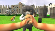 Kitten Life Simulator Steam Key GLOBAL