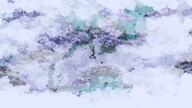 Kynseed - Steam Gift - GLOBAL