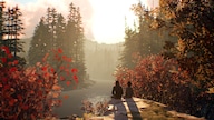 Life is Strange 2 Complete Season Steam Key GLOBAL