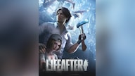 LifeAfter Fund - GLOBAL