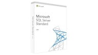 Microsoft SQL Server 2019 Standard (PC) - Microsoft Key - GLOBAL