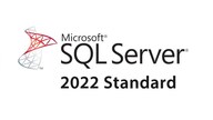 Microsoft SQL Server 2022 Standard (PC) - Microsoft Key - GLOBAL