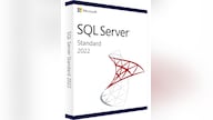 Microsoft SQL Server 2022 Standard (PC) - Microsoft Key - GLOBAL