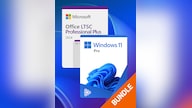 Microsoft Windows 11 Pro & Microsoft Office 2024 LTSC Pro Plus Bundle (PC) - Microsoft Key - GLOBAL