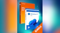 Microsoft Windows 11 Pro & Microsoft Office Home & Business 2019 (Mac) bundle - Microsoft Key - GLOBAL