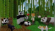 Minecraft: Java & Bedrock Edition | Java & Bedrock Edition (PC) - Microsoft Store Key - GERMANY