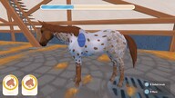 My Life: Riding Stables 3 (PC) - Steam Key - GLOBAL