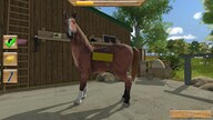 My Little Riding Champion Steam Key GLOBAL