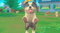 My Universe: Puppies and Kittens (Nintendo Switch) - Nintendo eShop Key - EUROPE