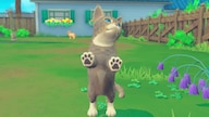 My Universe: Puppies and Kittens (Nintendo Switch) - Nintendo eShop Key - EUROPE