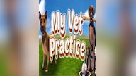 My Vet Practice (PC) - Steam Account - GLOBAL