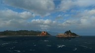 Naval Action - Prolific Forger Steam Gift GLOBAL