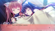 NEKO-NIN exHeart Steam Key GLOBAL
