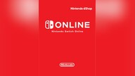 Nintendo Switch Online Membership 3 Months Individual | Nintendo eShop Key | FRANCE