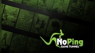 NoPing Game Tunnel Quarterly Subscription NoPing Key GLOBAL