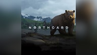 Northgard Steam Key GLOBAL