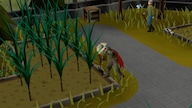 Old School RuneScape Membership (PC) 1 Month - Steam Key - GLOBAL