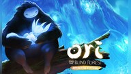 Ori and the Blind Forest | Definitive Edition (PC) - Microsoft Store Key - UNITED STATES