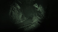 Outlast 2 (PC) - Steam Key - GLOBAL