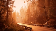 Pacific Drive (PC) - Steam Key - GLOBAL